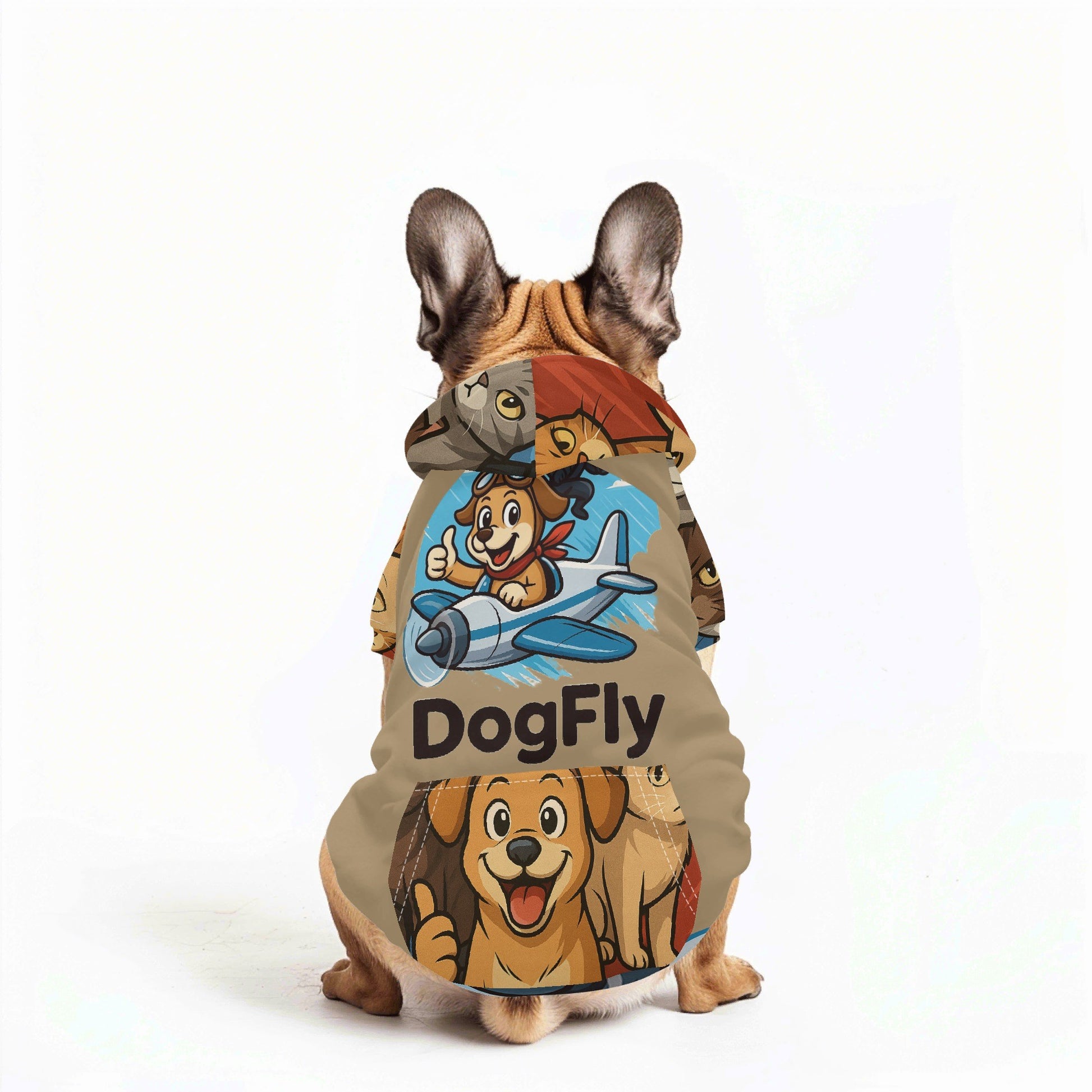 filename-1763809854-5-5IVPJ7PUtQ