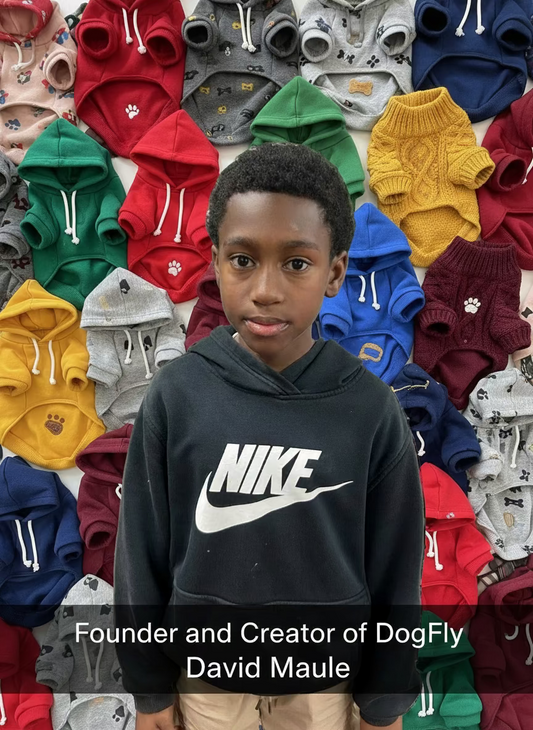 DogFly - Pet Pullover Hoodie By David Maule